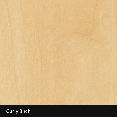 Curly Birch